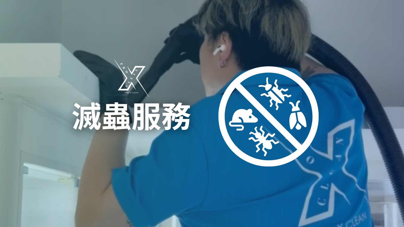 香港滅蟲服務 — 滅曱甴老鼠床蝨白蟻
